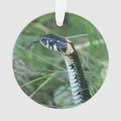 Slangenkop Ornament (voorkant)