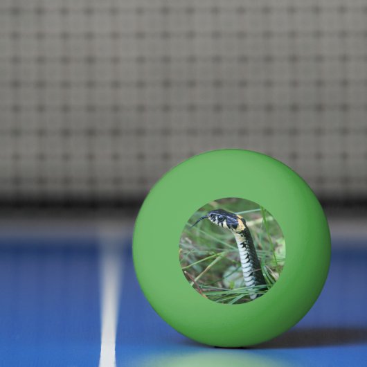 Slangenkop Pingpongballen (Net)