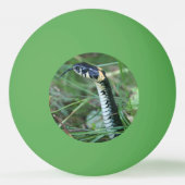 Slangenkop Pingpongballen (Voorkant)