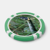 Slangenkop Poker Chips (Enkel)