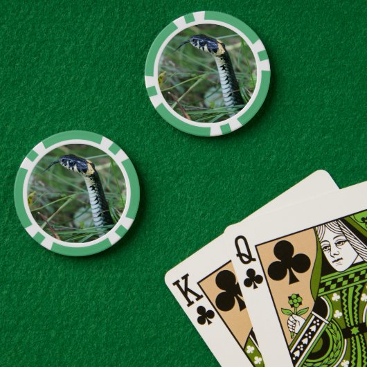 Slangenkop Poker Chips (Pokertafel (Dubbel))