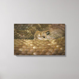slangenoog canvas afdruk