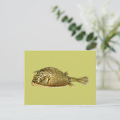 Slangoest Briefkaart (Staand voorkant)