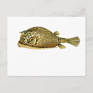 Slangoest Briefkaart