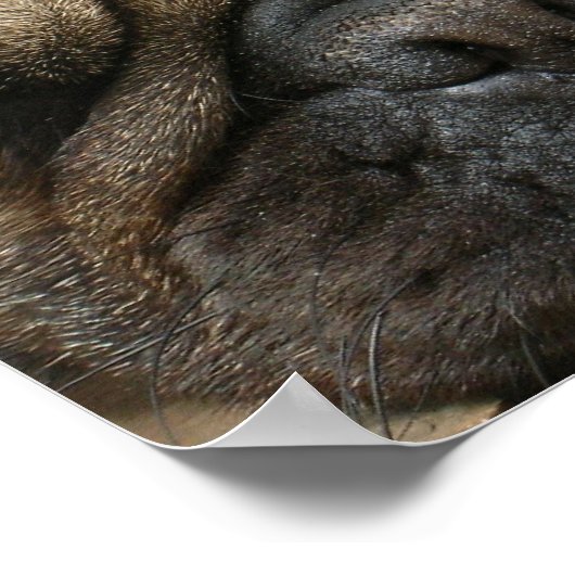 Slank Poster afdrukken (Hoek)