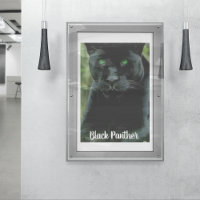 Slank zwart Pantherkat met groene ogen