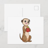 Slanke meerkat met appel briefkaart (Voorkant / Achterkant)