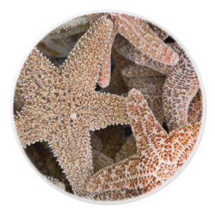 Slanvis overal keramische knop