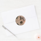 Slanvis overal ronde sticker (Envelop)