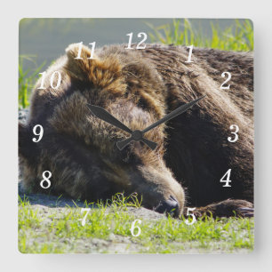 Slapen Alaska Grizzly Beren wandklok Vierkante Klok