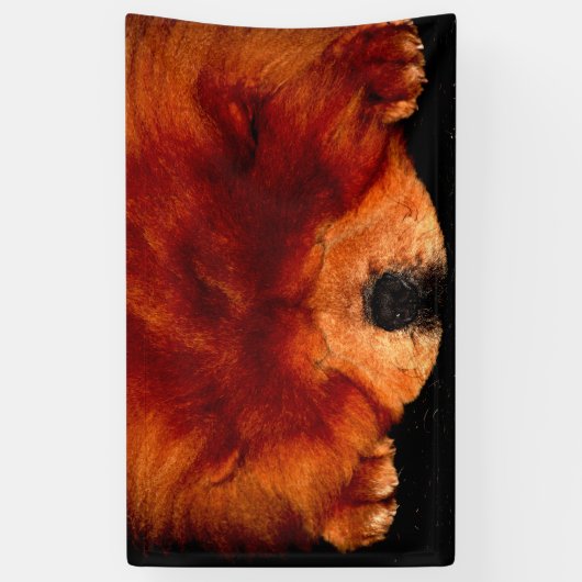 Slapen Chow BNRCNM Spandoek (Verticaal)