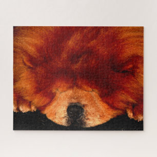Slapen Chow Chow 16x20 520pc jpcna Legpuzzel