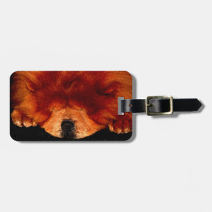 Slapen Chow Chow cd ltcnm Bagagelabel