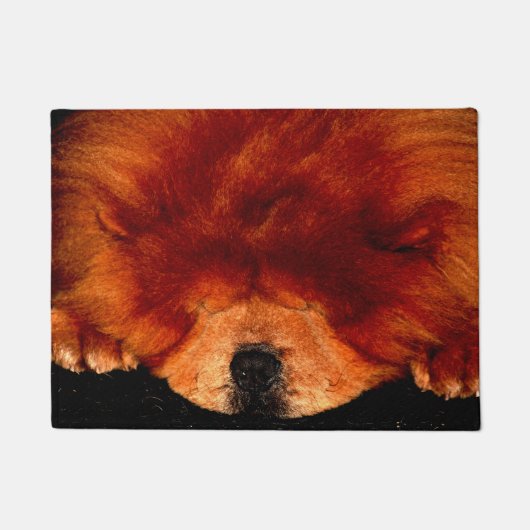 Slapen Chow Chow dmcna Deurmat (Voorkant)