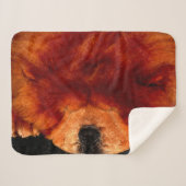 Slapen Chow Chow Sbcna Sherpa Deken (Voorkant (horizontaal))
