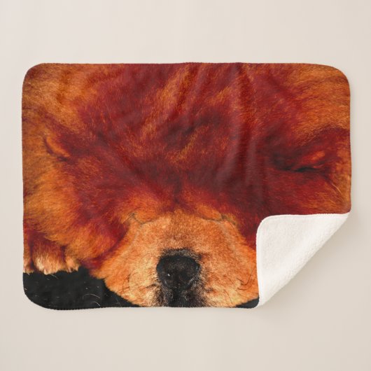 Slapen Chow Chow Sbcna Sherpa Deken (Voorkant (horizontaal))