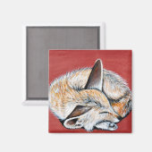 Slapen Fennec Fox schilderij Magneet (Voorkant / Achterkant)