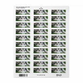 Slapen Husky Hond Mailing Label (Full Sheet)