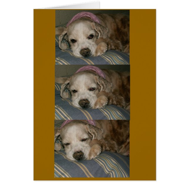 slapen in seattle (Voorkant)