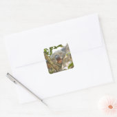 Slapen Koala Beer Sticker (Envelop)