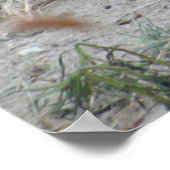 Slapen op de rotsen poster (Hoek)