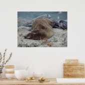 Slapen op de rotsen poster (Keuken)