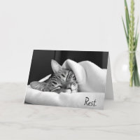 Slapen Tabby Kat voor Get Well Binnenkort
