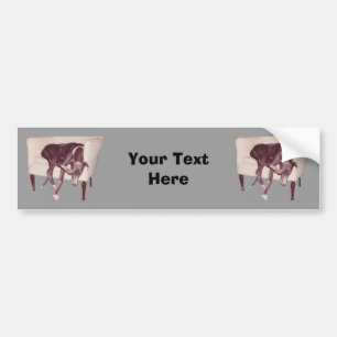 Slapen van Greyhound in stoel Funny Bumpersticker
