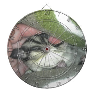 Slapen van suikerglider in mandje dartbord