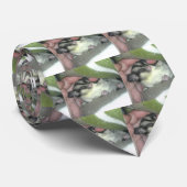 Slapen van suikerglider in mandje stropdas (Opgerold)