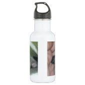 Slapen van suikerglider in mandje waterfles  (Achterkant)