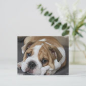 Slapend Briefkaart (Staand voorkant)