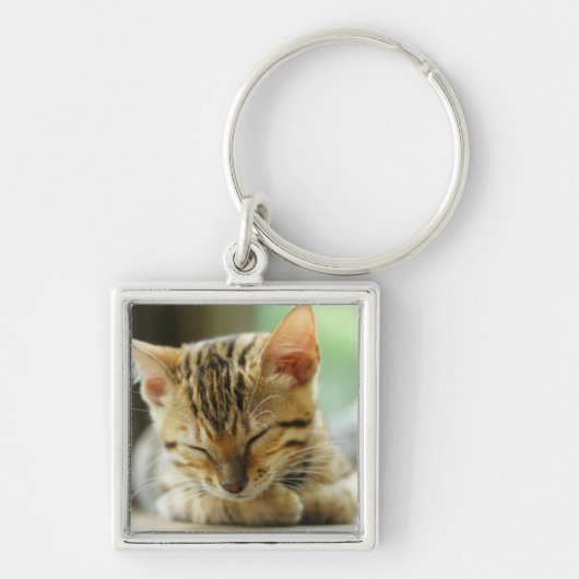 Slapend klein Baby Kat Sleutelhanger (Voorkant)
