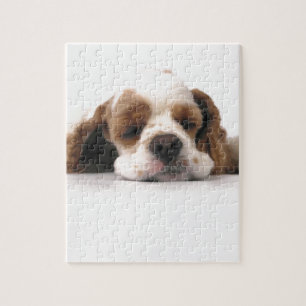 Slapend Rood/Wit Cocker Spaniel Legpuzzel