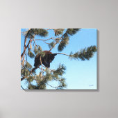 Slapende Beer Canvas Afdruk (Voorkant)