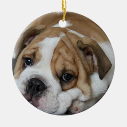 Slapende Bulldog Ornament (Voorkant)