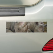 Slapende Bumperstickers (Op auto)
