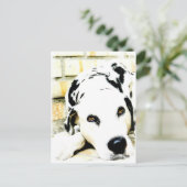 Slapende Dalmatische Briefkaarten (Staand voorkant)