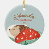 Slapende egel keramisch ornament (Achterkant)