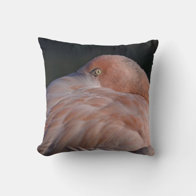 Slapende Flamingo Kussen (Voorkant)