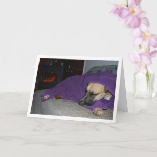 Slapende hond bij de open haard kaart