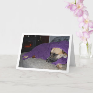 Slapende hond bij de open haard kaart