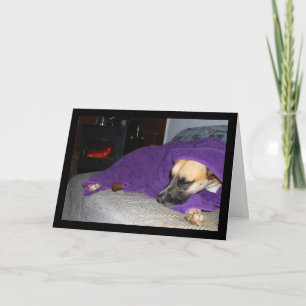 Slapende hond bij open haard kaart