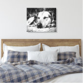 Slapende hond canvas afdruk (Insitu (Slaapkamer))