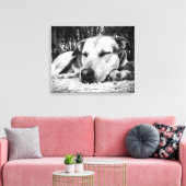 Slapende hond canvas afdruk (Insitu (Woonkamer))