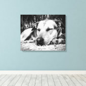 Slapende hond canvas afdruk (Insitu (Houten vloer))