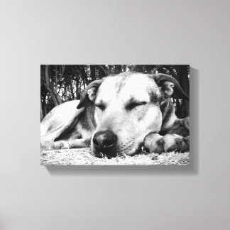 Slapende hond canvas afdruk