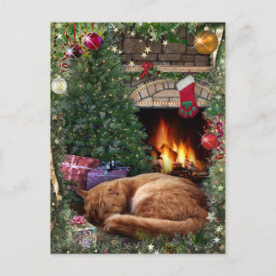 Slapende kat naast de Fireplace op kerst Feestdagenkaart