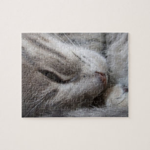Slapende kat Puzzle Legpuzzel