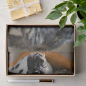 slapende-kattentissuepapier tissuepapier (Geschenk)